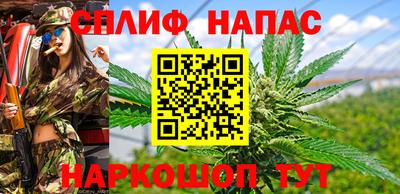 кокс Донской