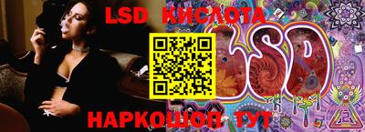 кокс Донской