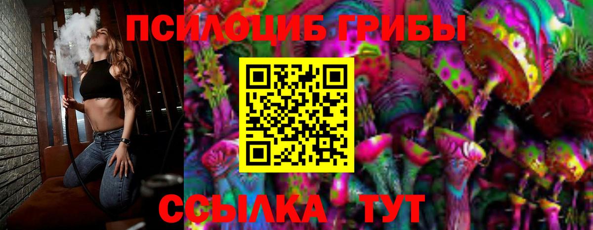 Галлюциногенные грибы мухоморы Минусинск